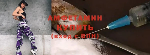 сатива Зеленодольск