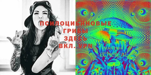 сатива Зеленодольск
