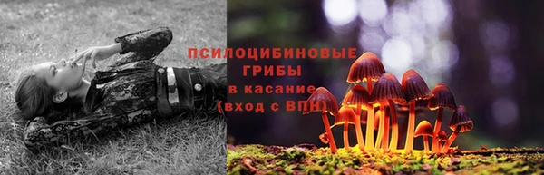 сатива Зеленодольск