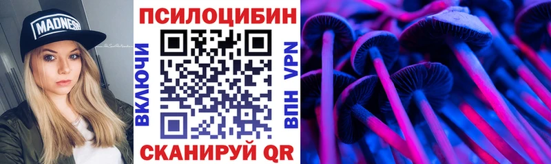 Купить  Звенигово  Галлюциногенные грибы мицелий 